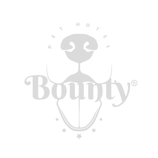 Logo%2520bounty%2520blanco_edited_edited