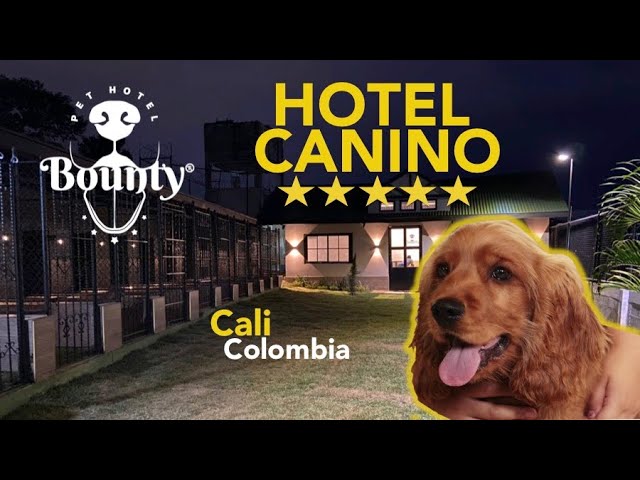Hotel Canino 5 estrellas en Cali, Colombia. Bounty Pet Hotel