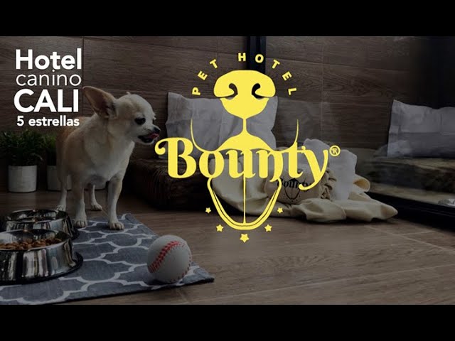 La Aventura de Maximo en Bounty Pet Hotel Cali